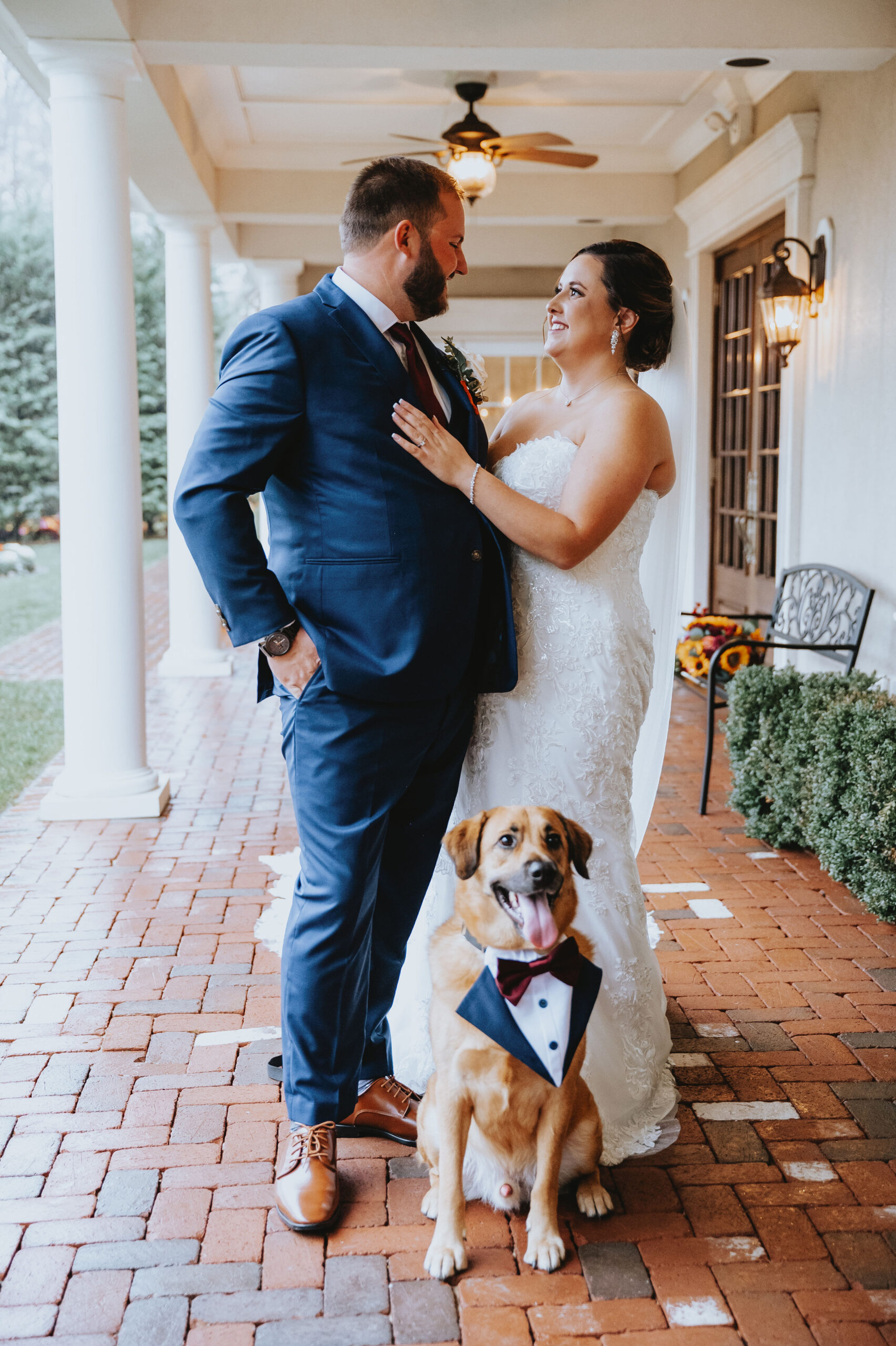Considering Pets At Wedding? Here's What You Need to Know